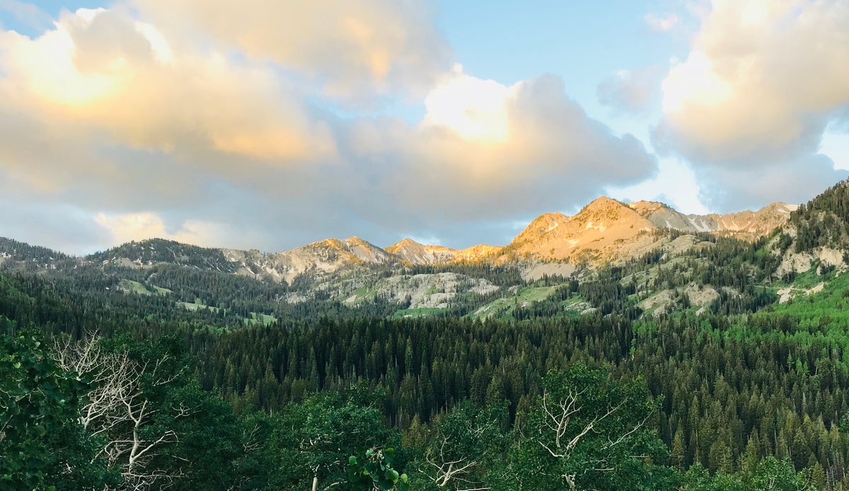 Why you should get on the trails during the Covid-19 Pandemic (if allowed)