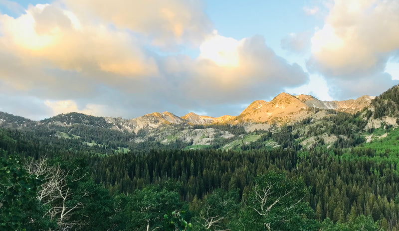 Why you should get on the trails during the Covid-19 Pandemic (if allowed)